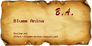 Blumm Anina névjegykártya